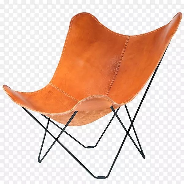 蝴蝶椅，翼椅，家具-椅子