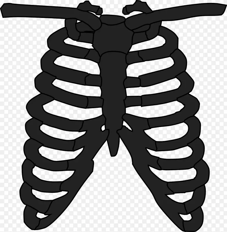 肋骨笼人体骨骼解剖t-恤-t恤