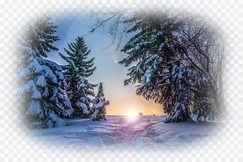 桌面壁纸冬季自然故事雪地壁纸-自然景观