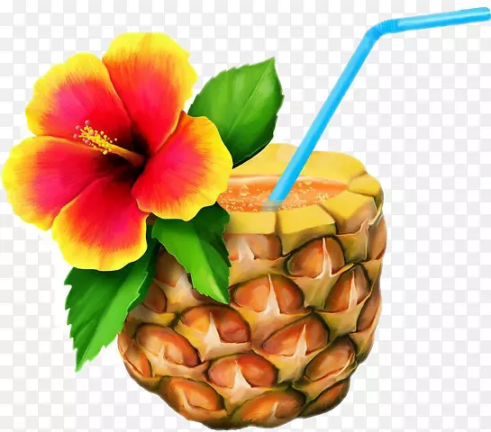 夏威夷美食，夏威夷比萨饼，卢奥剪贴画-菠萝