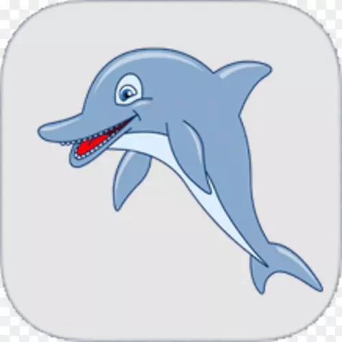 普通宽吻海豚图库溪短喙普通海豚粗齿海豚全牙微笑