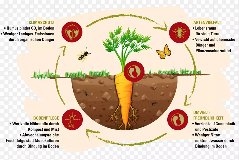 有机食品有机农业生物动力农业轮作-德米特