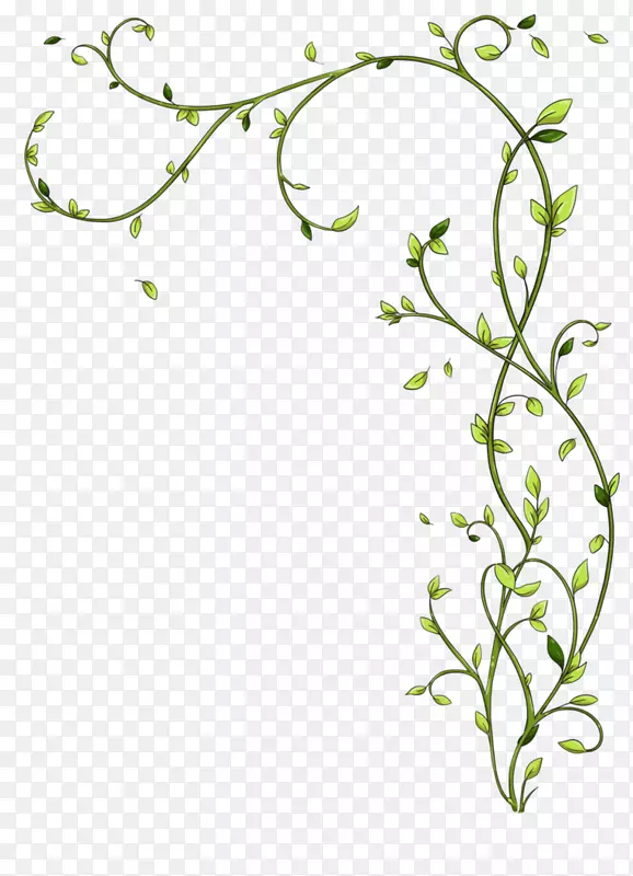 嫩枝花卉设计绿色植物茎叶