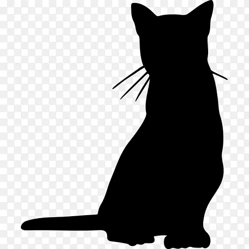 黑猫小猫须，家用短毛猫剪影-小猫