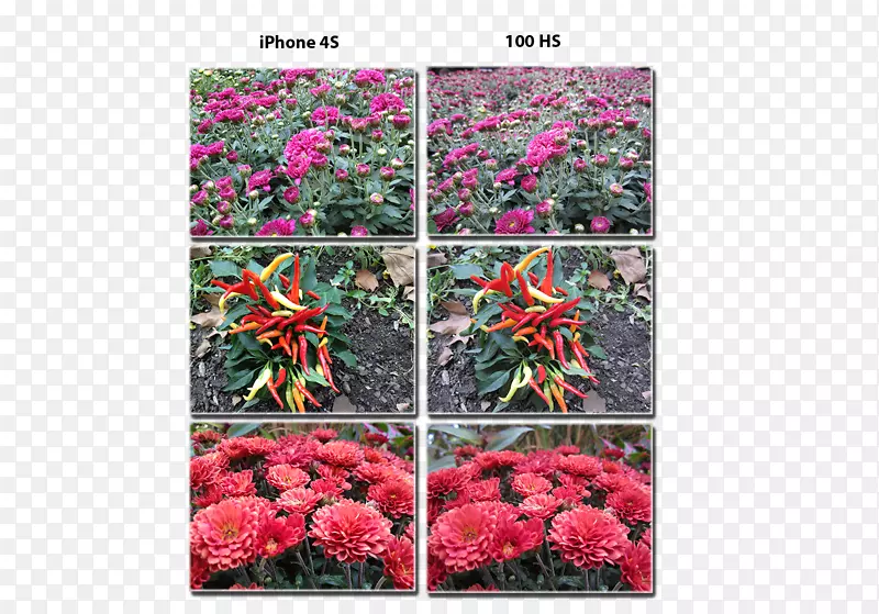 iphone 4s佳能eos 5d马克ii佳能PowerSpot ELPH 100 hs相机-彩色相机