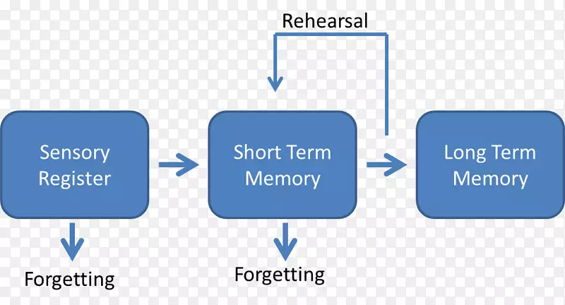 阿特金森-谢夫林记忆模型心理存储信息感官记忆