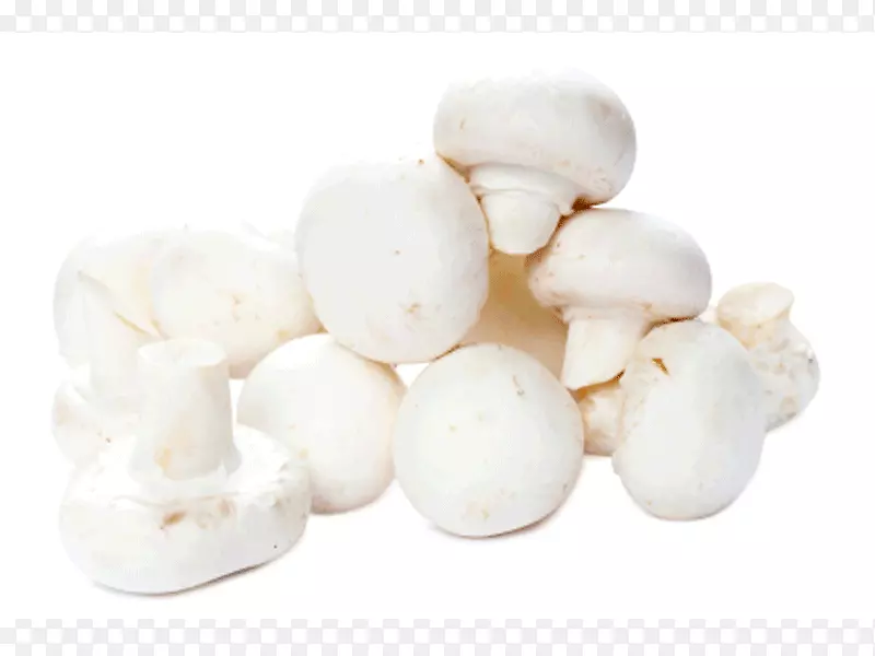 普通蘑菇食用菌香菇高岭土菇养殖场-蘑菇