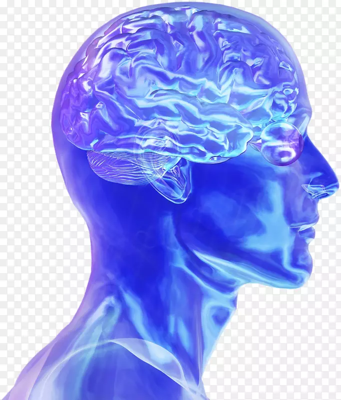 蓝脑计划人脑神经科学电刺激脑电-脑
