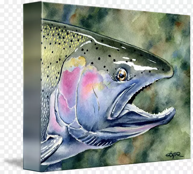 大马哈鱼09777鳟鱼绘画-绘画