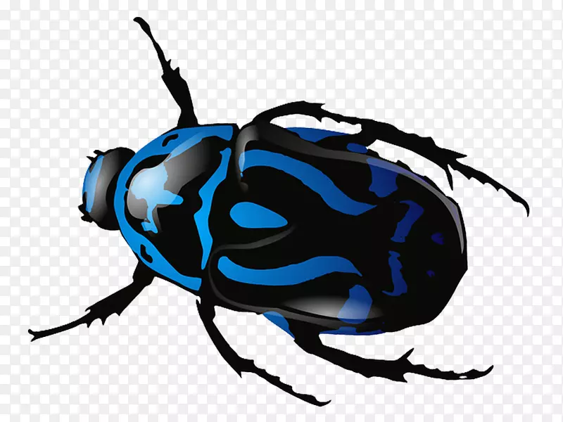 甲虫电脑图标剪贴画甲虫