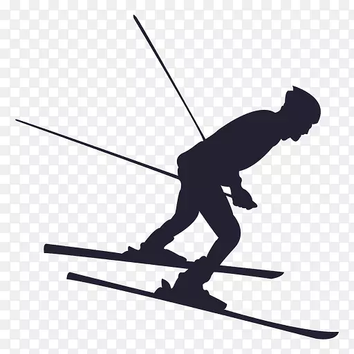 滑雪杆，剪影，北欧滑雪.滑雪板