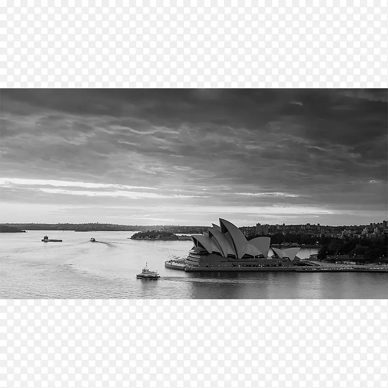 黑白港杰克逊悉尼歌剧院圆形码头摄影-悉尼歌剧院绘画
