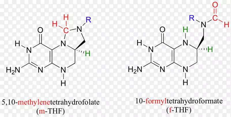 官能团醛化学反应10-甲酰四氢叶酸阴离子-萨克拉门托谷