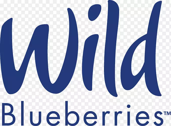野蓝莓节蓝莓派食物-蓝莓