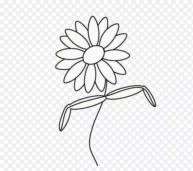 花卉设计图普通雏菊素描设计