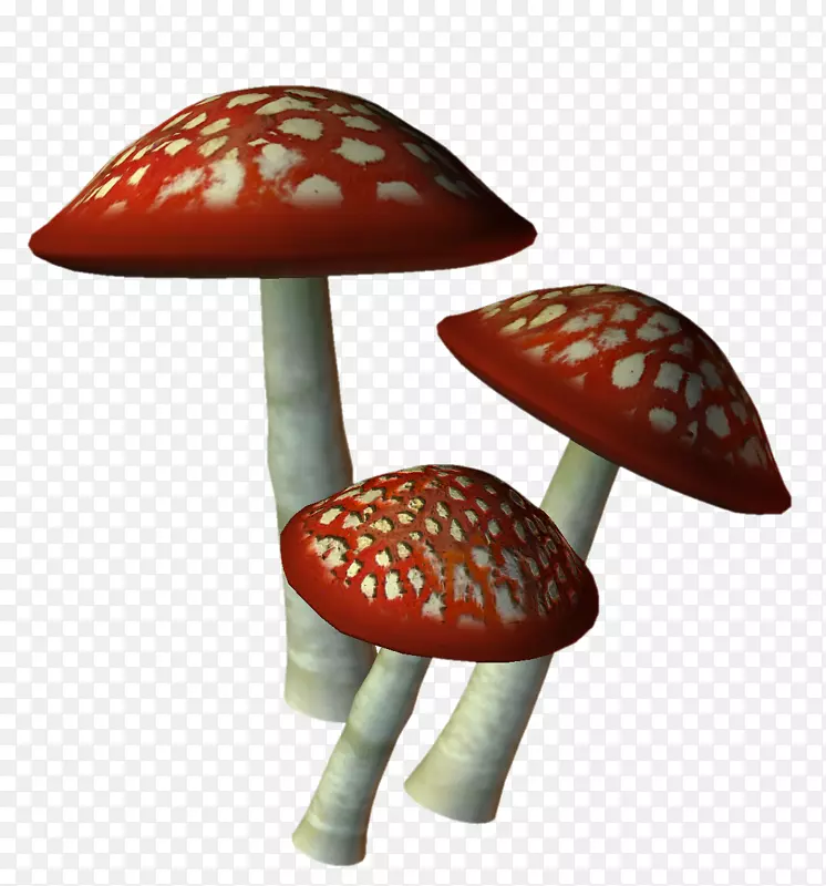 蘑菇封装的PostScript图像文件格式剪贴画蘑菇