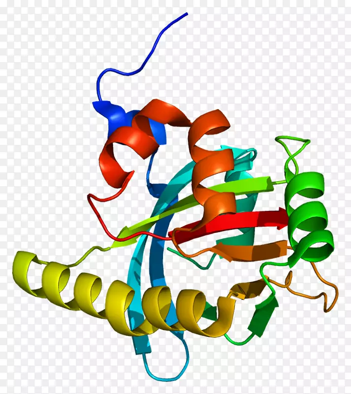 基因组蛋白去乙酰化酶蛋白笔
