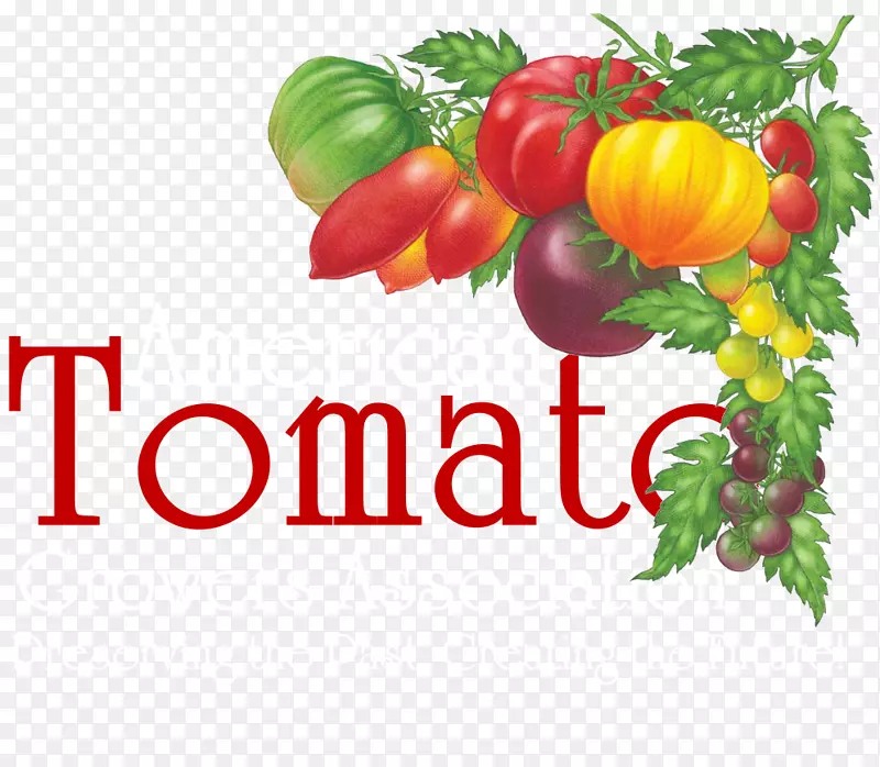 番茄汤，白兰地，意大利番茄派，有机食品，传家宝，番茄-五颜六色的条