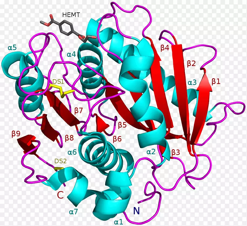 sakaiensis果胶酶细菌酯酶-聚己二酸丁二醇酯