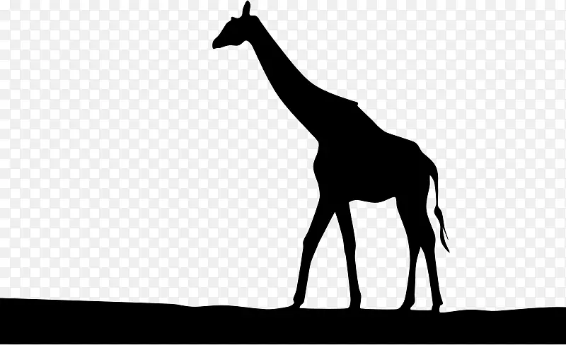 西非长颈鹿剪影-免费剪贴画-剪影