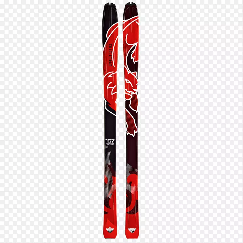 巴尔托罗冰川滑雪登山滑雪装订滑雪旅游滑雪