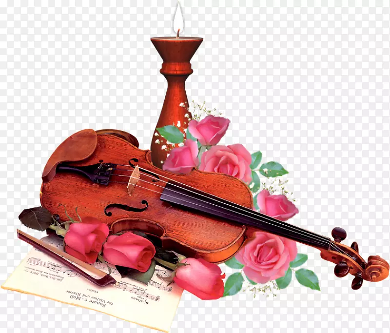 小提琴乐器弦乐器小提琴