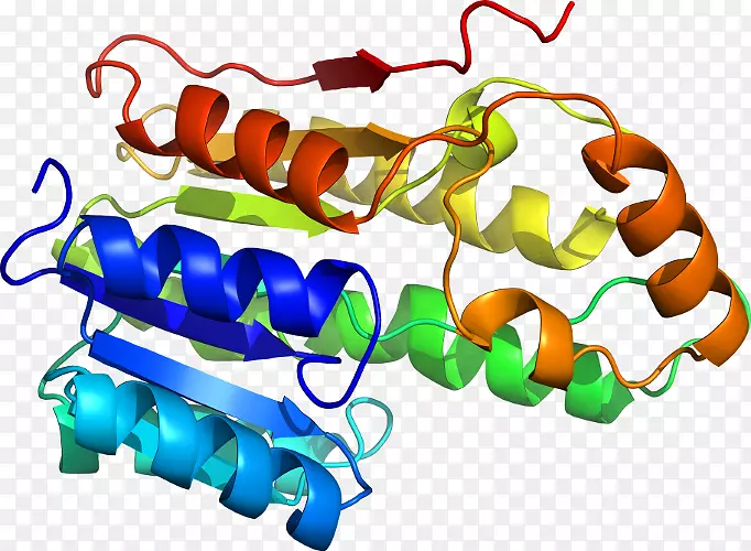 同源性模拟蛋白质结构预测线程-阿莫西林酸