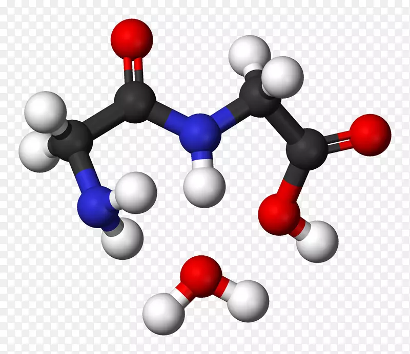 有机化学分子肽键缩合反应-Huy