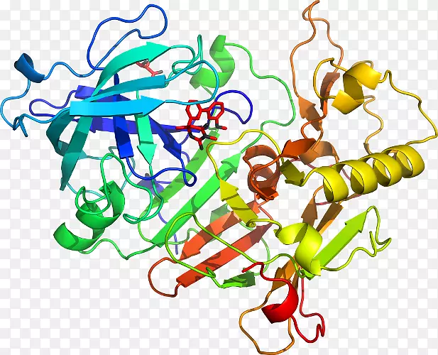 烟酰胺N-甲基转移酶催化苯乙醇胺正甲基转移酶-联苯