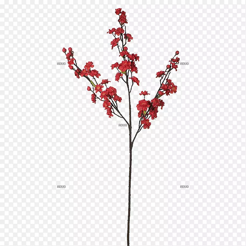小枝花红色植物茎枝-德科