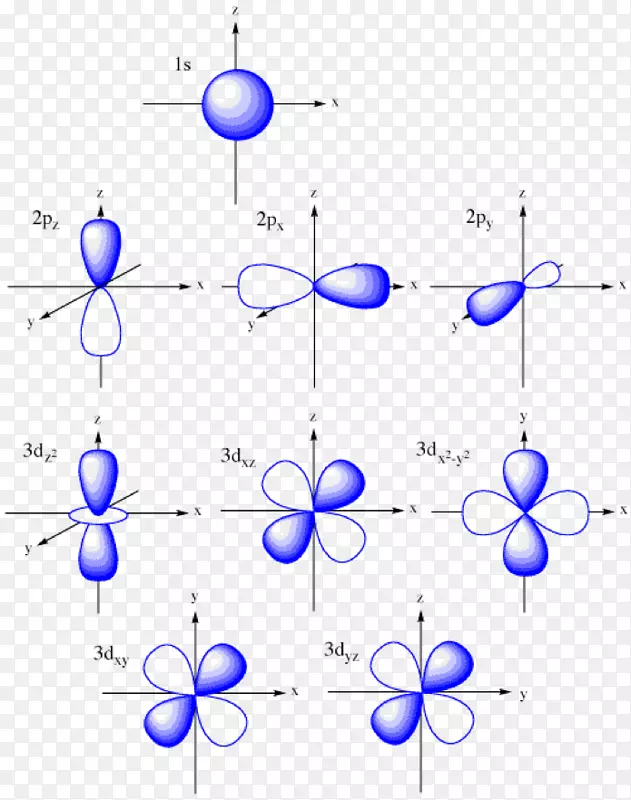 原子轨道分子轨道π键主量子数轨道杂交