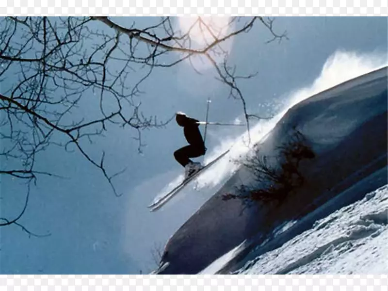 冒险极限运动地质滑雪-帕戈萨弹簧