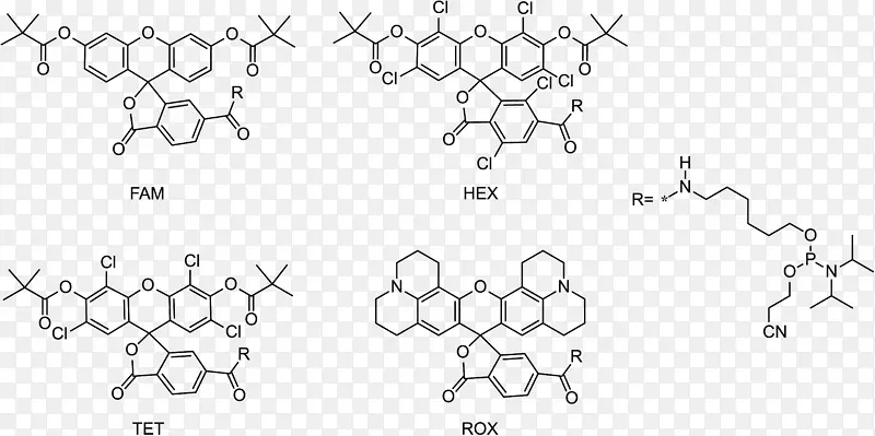 荧光团荧光酰胺基荧光f rster共振能量转移-其它