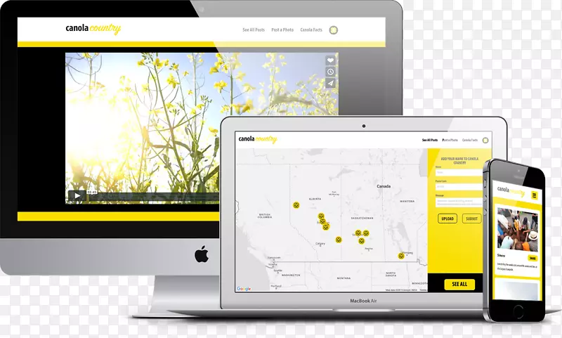 DINGO营销团队网页设计网页开发-网页设计
