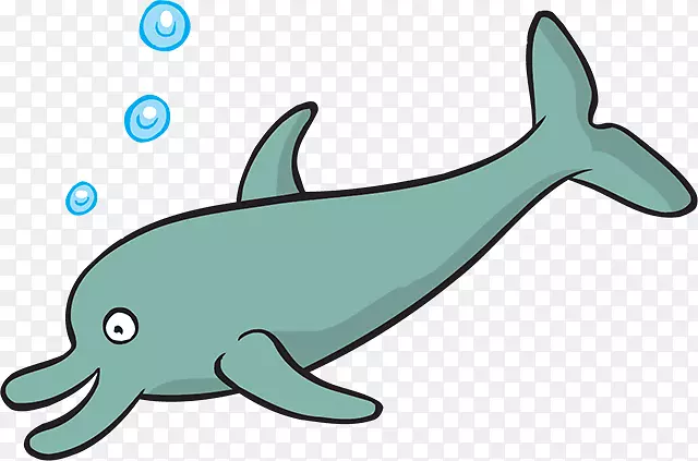 常见宽吻海豚图库溪粗齿海豚夹艺术-鱼类游泳