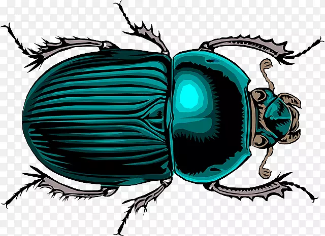 粪甲虫和平利西特拉鸟粪甲虫