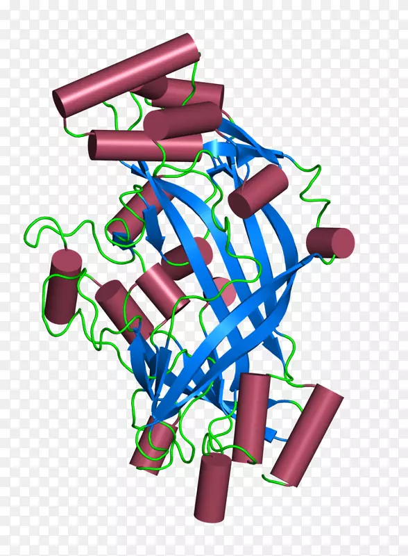 CD 36蛋白SCARB 2细胞转化生长因子β-糖蛋白