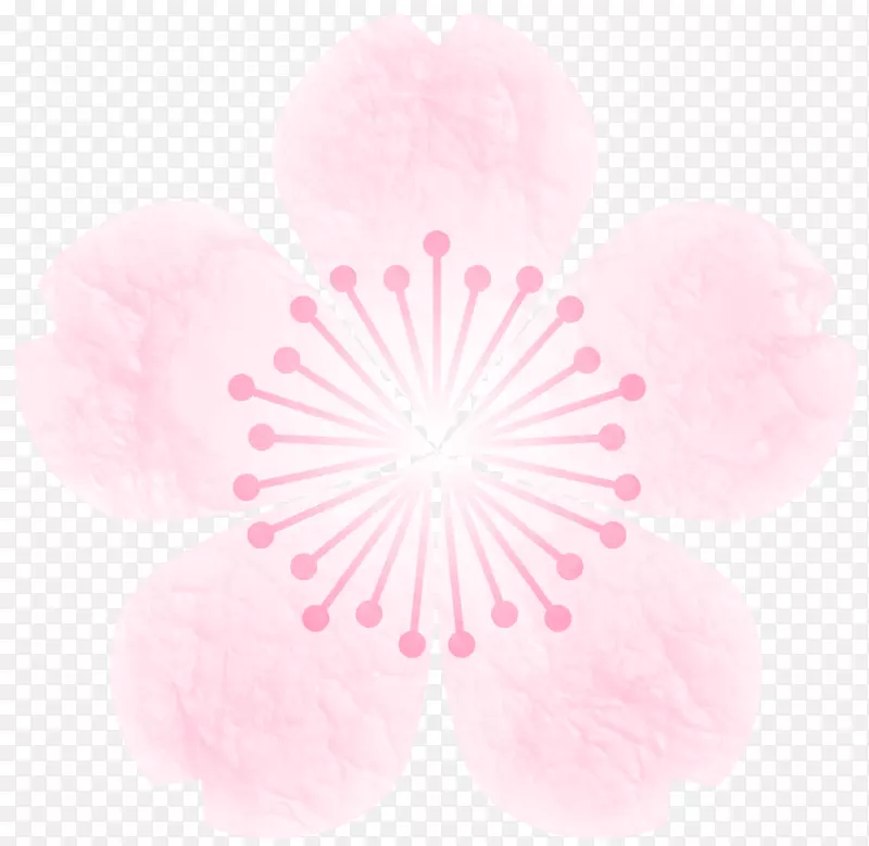 sakuramochi樱花封装后记材料哈纳米-春季材料