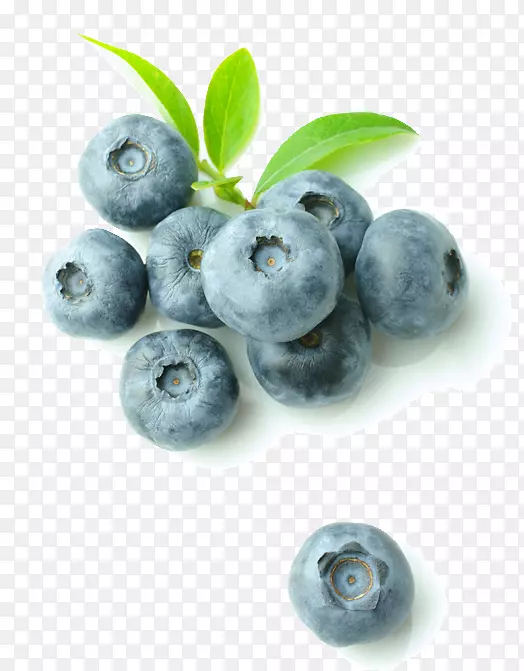 蓝莓食品冰箱越橘酒冷却器-蓝莓