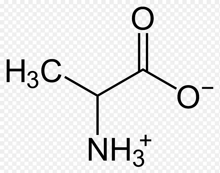 β-丙氨酸两性离子氨基酸丙氨酸转氨酶-两性离子