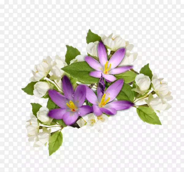 花卉设计紫丁香切花紫丁香
