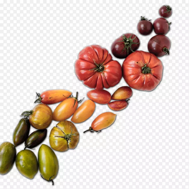 Curlyhost有限责任公司网页设计食物番茄-网页设计