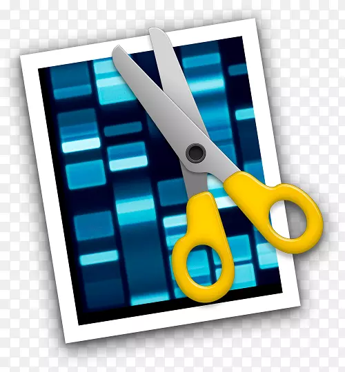DNA测序核酸序列DNA测序器分子生物学技术