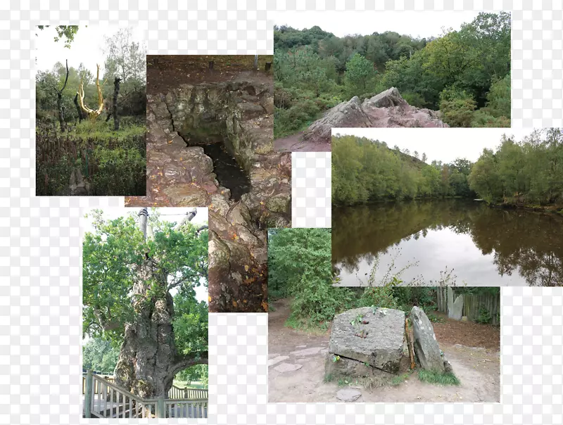 自然保护区水资源属性湿地植物区系