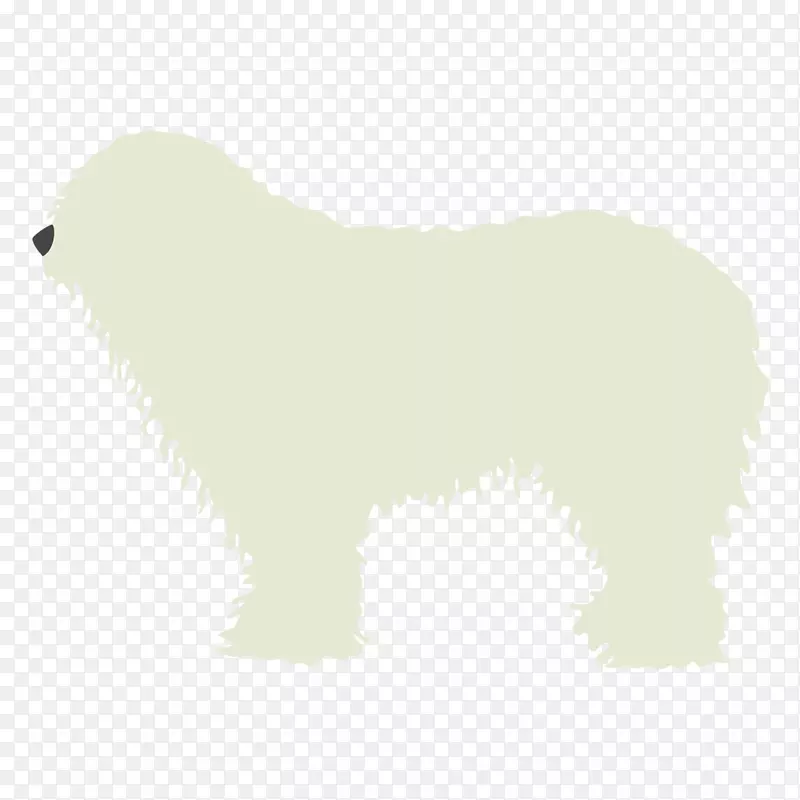 犬种北极熊鼻子-北极熊