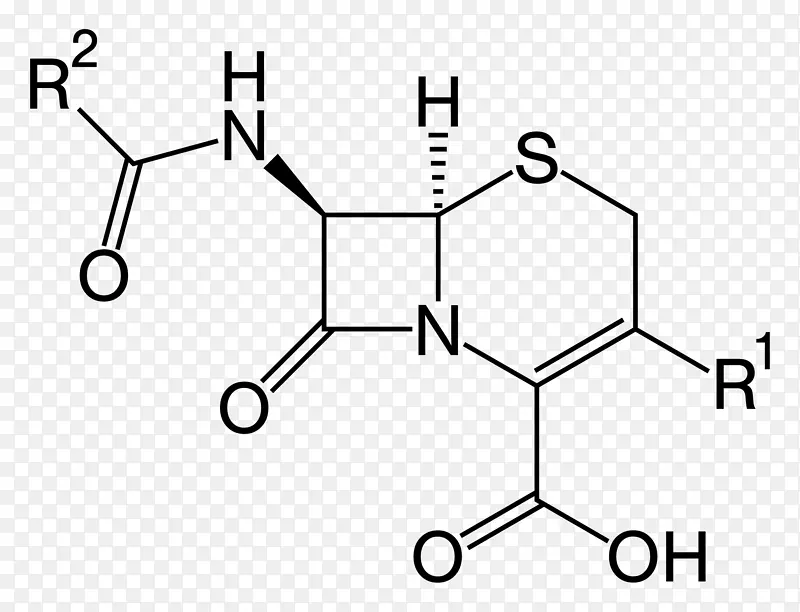 头孢菌素β-内酰胺抗生素头孢霉素β-内酰胺