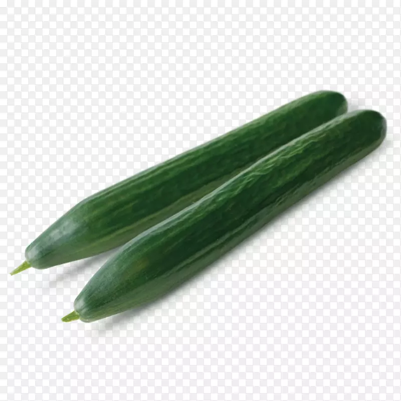 腌制黄瓜Zaden acylia配方1-黄瓜