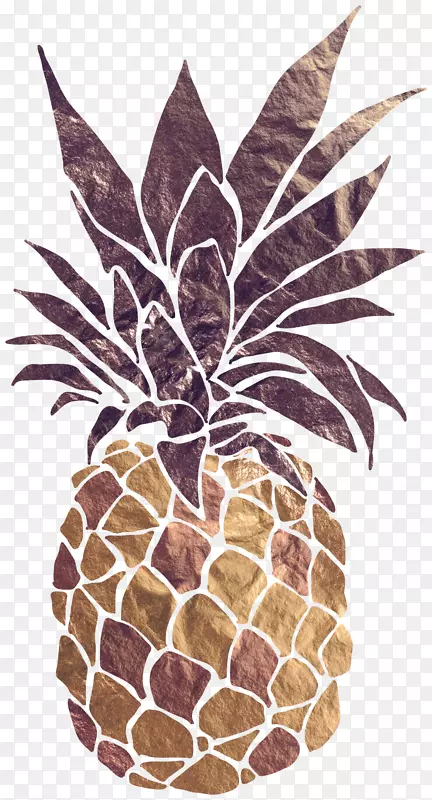 菠萝帆布印刷白画(三面板)-菠萝