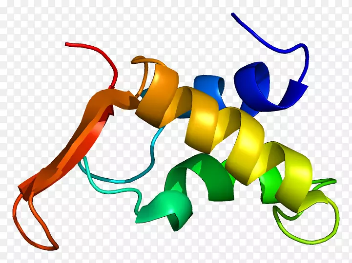 组蛋白H1组蛋白h3组蛋白去乙酰化酶甲基化