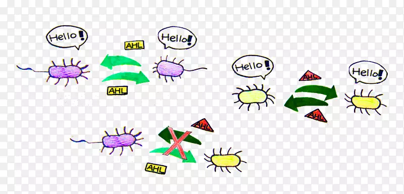 细菌单细胞生物考古学-高丝氨酸